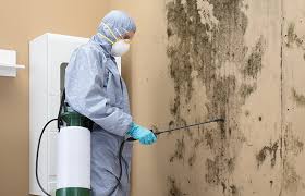 Why You Should Choose Our Mold Remediation Services in Merrick, NY